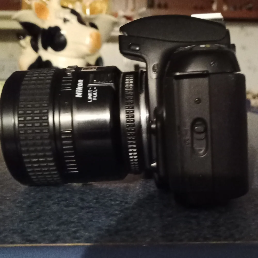 NIKON N6006
